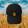 Ukraine 1933 Embroidered Coat of Arms Hat
